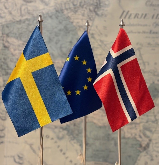 Flaggor framför karta